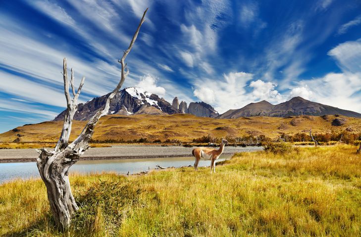patagonien bilder