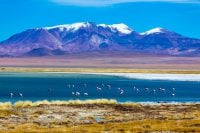 Patagonien – Reiseziele im Winter