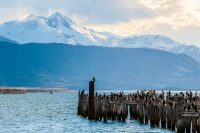 Ushuaia Patagonien – Eine Reise zum südlichen Ende der Welt