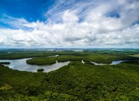 Wie heißt der längste Fluss Südamerikas?