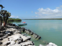 Praktischer Leitfaden zum Erkunden der Tortuga Bay, Galapagos Inseln