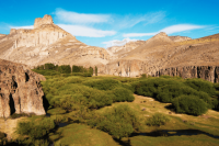 Die 5 schönsten Wüstenpflanzen Patagoniens