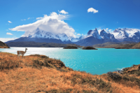 Der chilenische Teil Patagoniens: Reiseziele, Transport und Sehenswürdigkeiten
