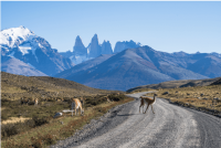 Vom Busbahnhof von Puerto Natales zum Torres-del-Paine-Nationalpark