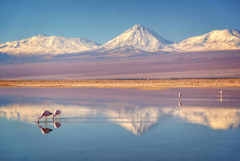 Atacama Wüste