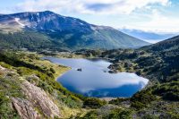 Warum ist die Insel Navarino in Patagonien definitiv einen Besuch wert?